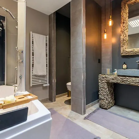 Contemporaine Avec Spa, Sauna, Piscine Et Ile Privative Pres De Nantes - Fr-1-306-866 * Ligné