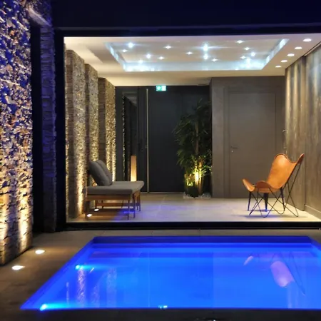 Contemporaine Avec Spa, Sauna, Piscine Et Ile Privative Pres De Nantes - Fr-1-306-866 Prázdninový dům